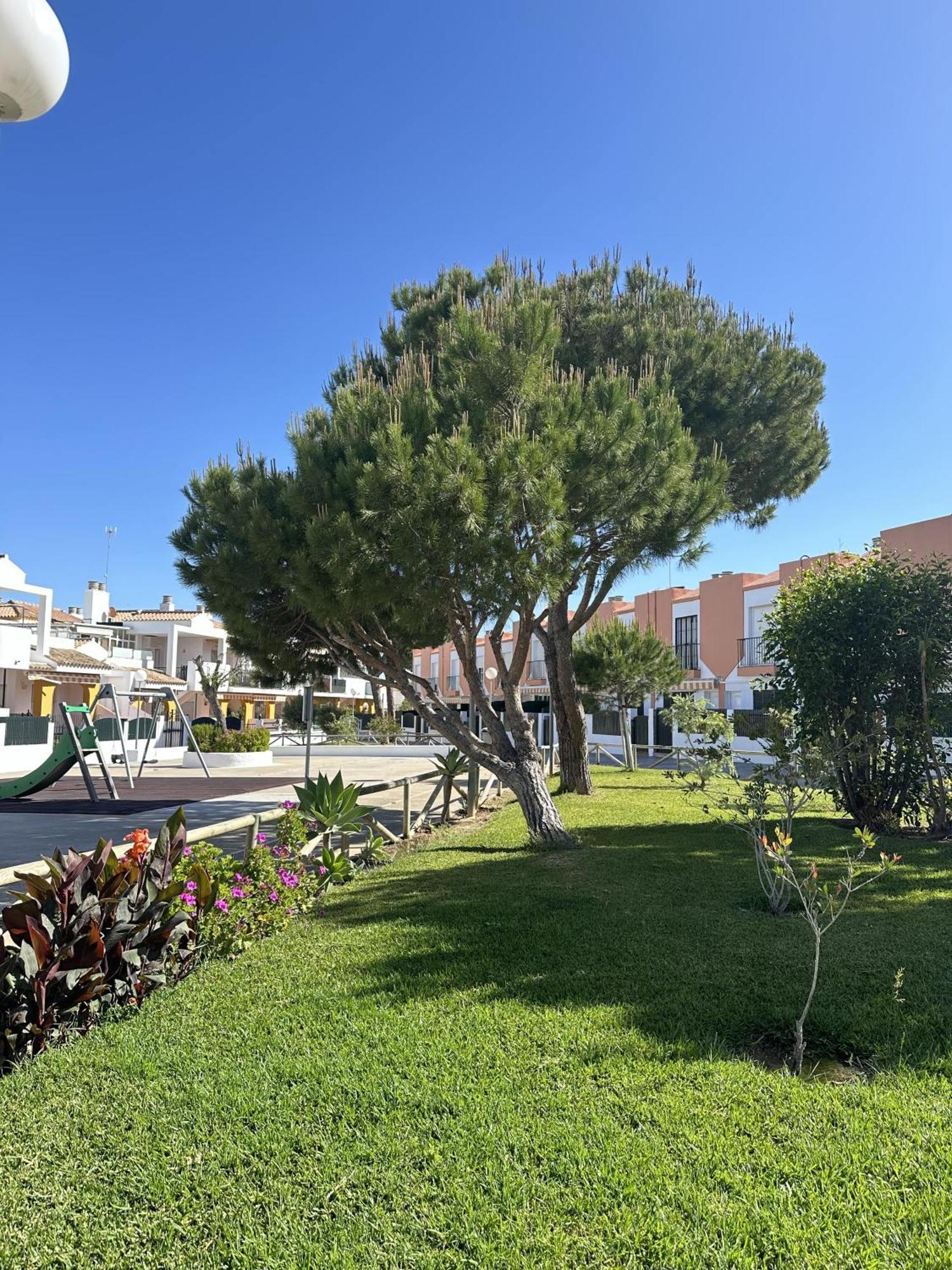 Апартаменты Duplex Playa Sol Ostra Чиклана-де-ла-Фронтера Экстерьер фото